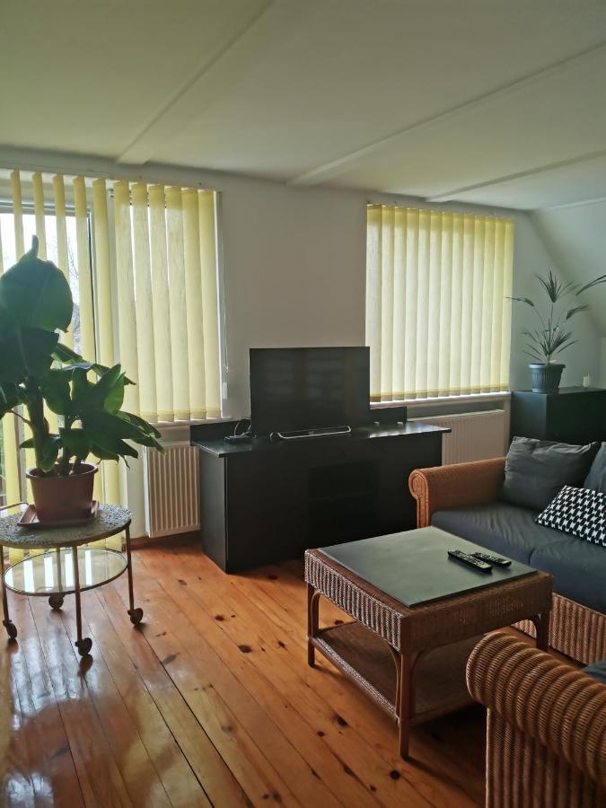 Apartament Forest Mysłakowice Exterior foto